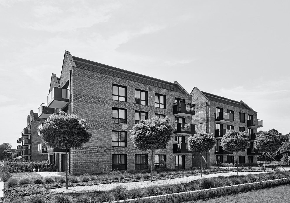 Front Park – Sadowa