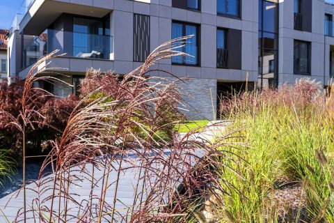 37_OliwskiPark_OGROD_s