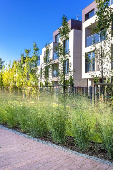 80_OliwskiPark_OGROD_s