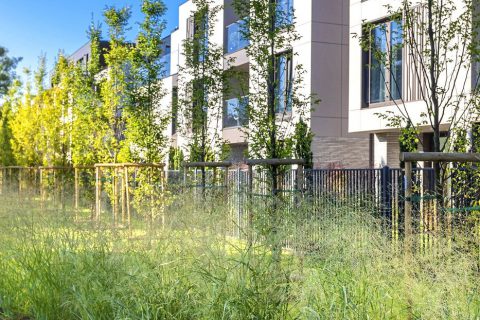 80_OliwskiPark_OGROD_s