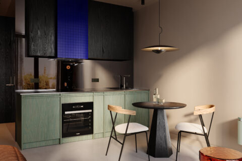 Moderna Holding_Chronos Mieszkanie 104_05