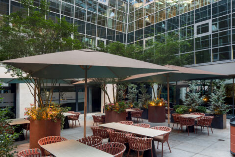 Oliwa 501 – Moderna Holding – 2